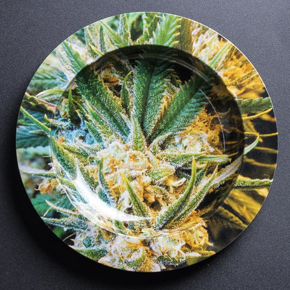 Weed Ashtray